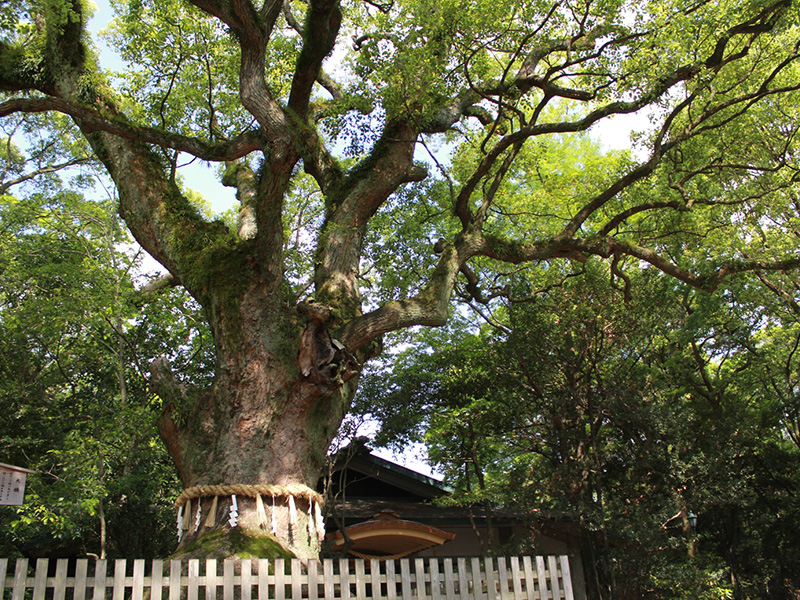 熱田神宮の外観