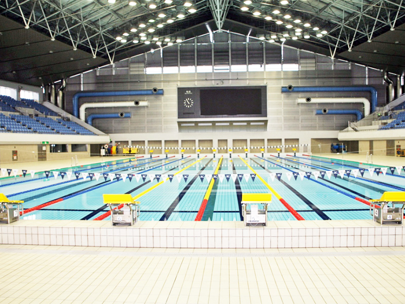 レインボープールの競泳プールの写真