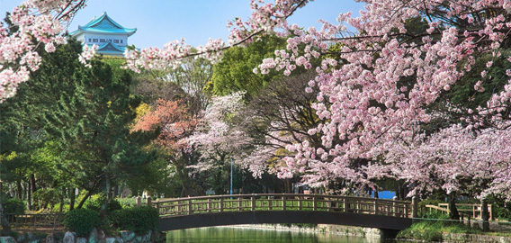 名古屋城の外観