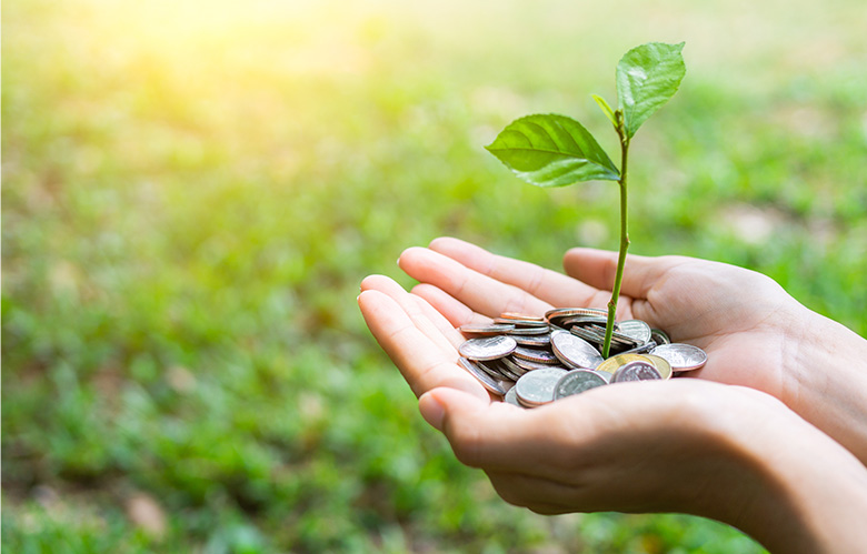 両手をお椀状にし、その上に小銭が置かれ、新芽が生えている写真