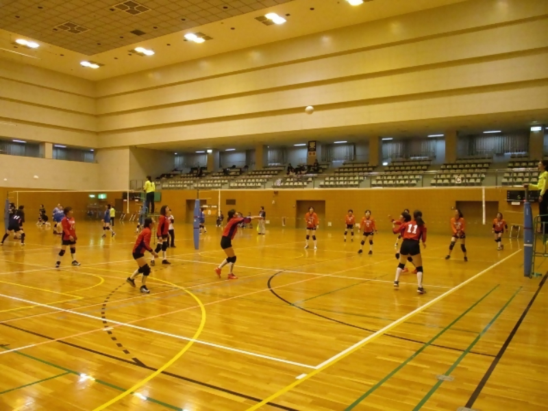 レクリエーションバレーボールをする様子