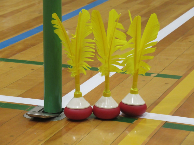 インディアカボール