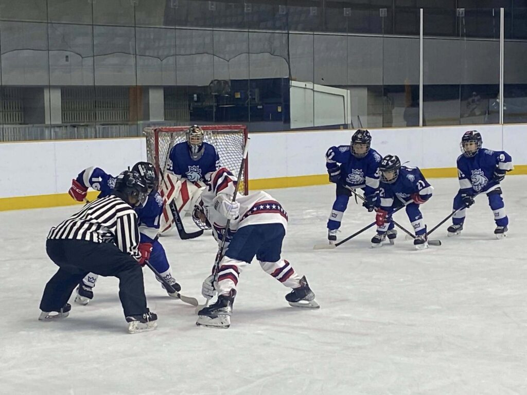 アイスホッケーの合同強化練習の様子