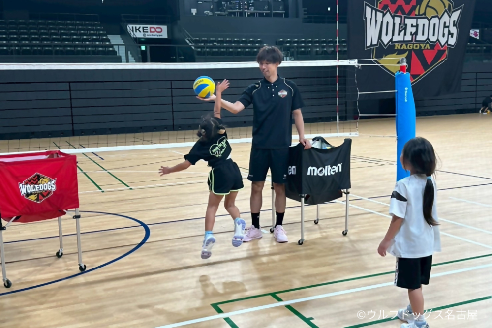 ウルフドッグス名古屋が開催する小中学生向けバレーボール教室の様子